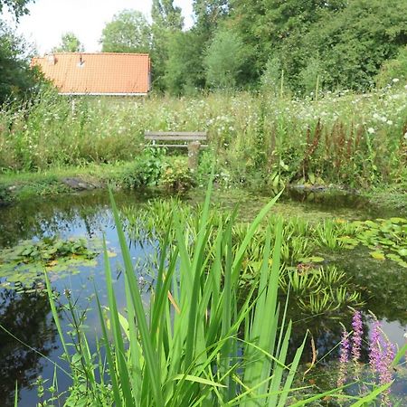 Het Kunstenaarshuis Kamperland Exterior foto